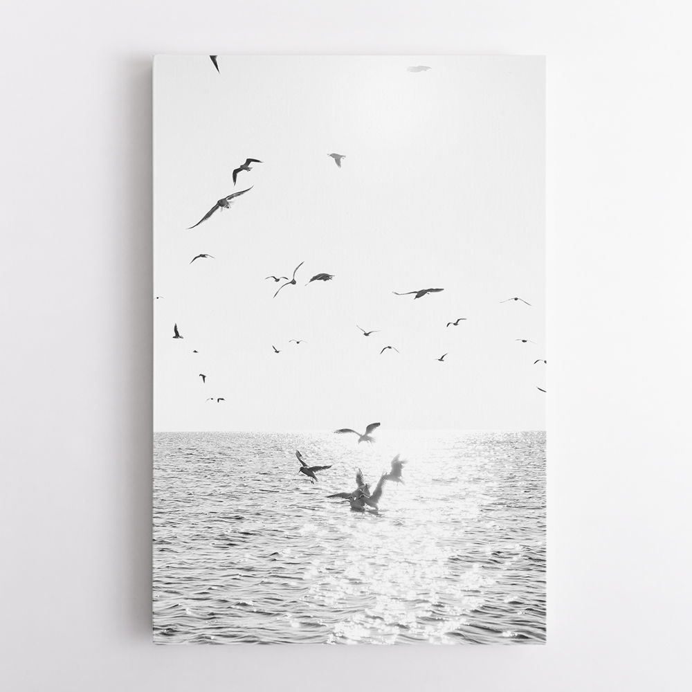 Seagulls At Sea