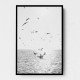 Seagulls At Sea