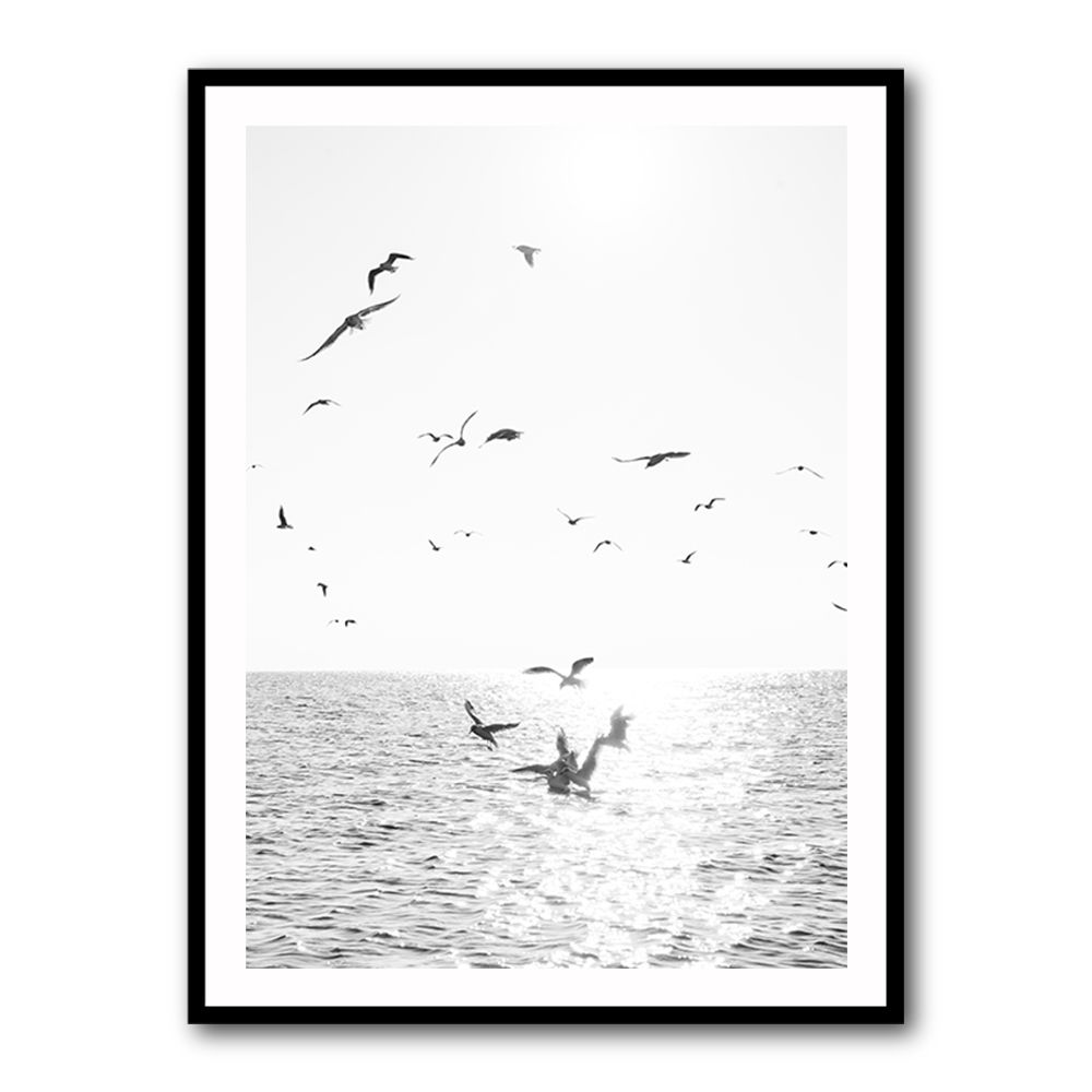 Seagulls At Sea