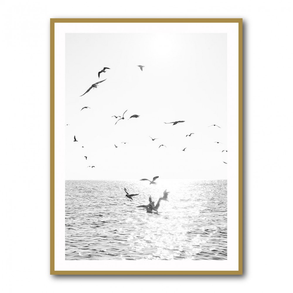 Seagulls At Sea