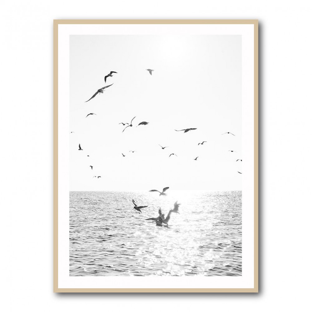 Seagulls At Sea