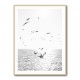 Seagulls At Sea