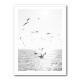 Seagulls At Sea