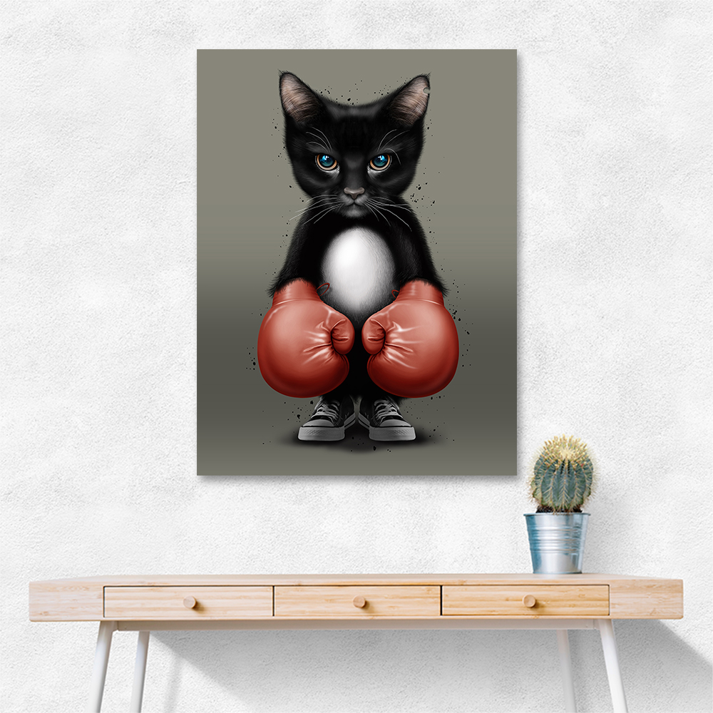 Kitty Boxer