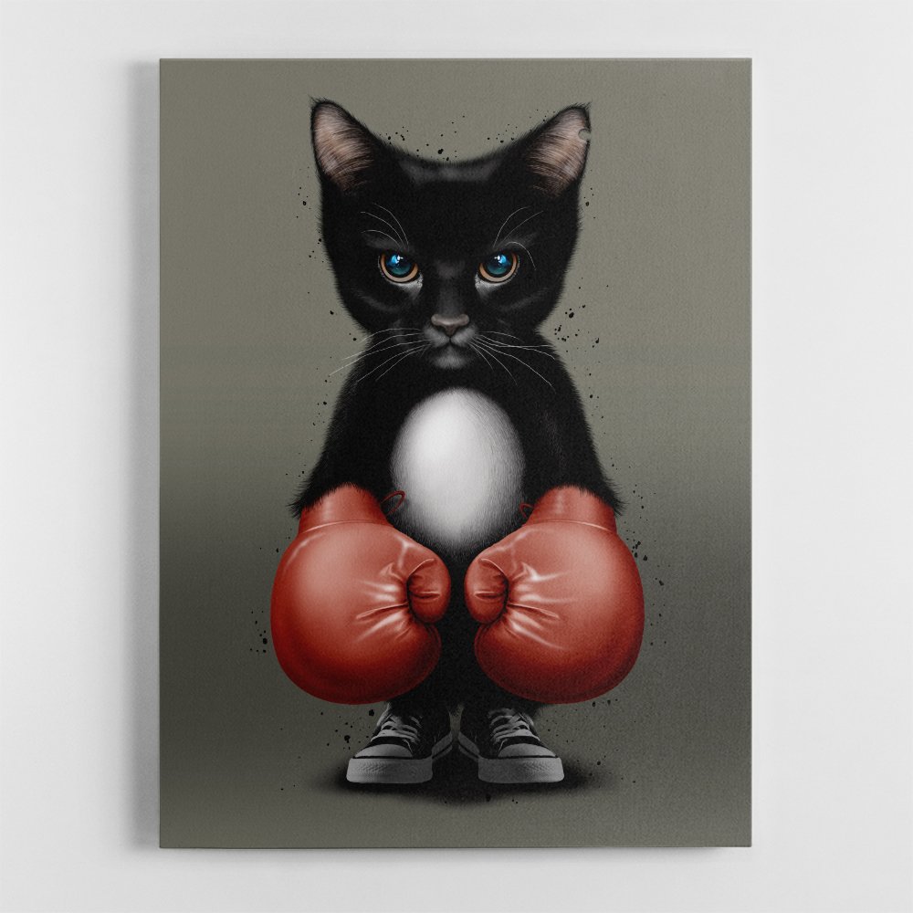 Kitty Boxer