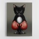 Kitty Boxer