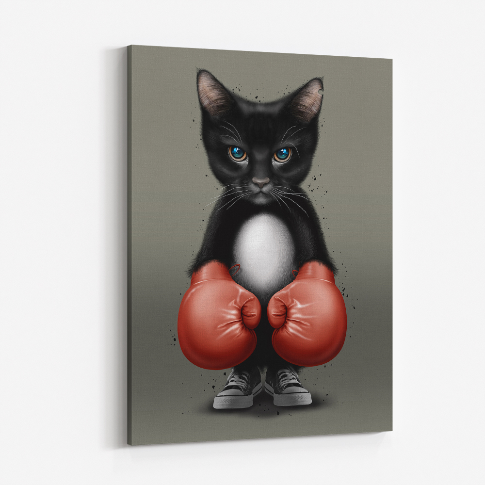 Kitty Boxer