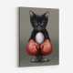 Kitty Boxer