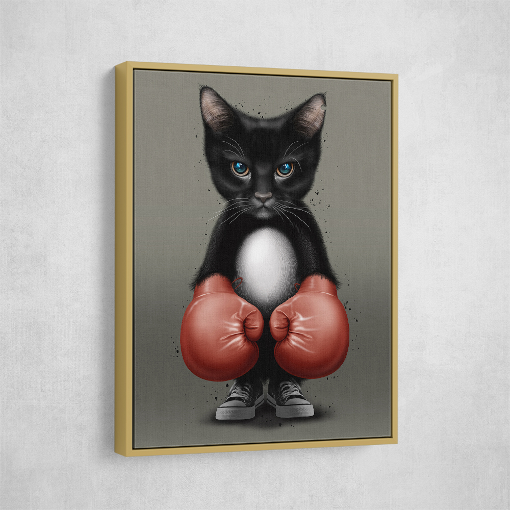 Kitty Boxer