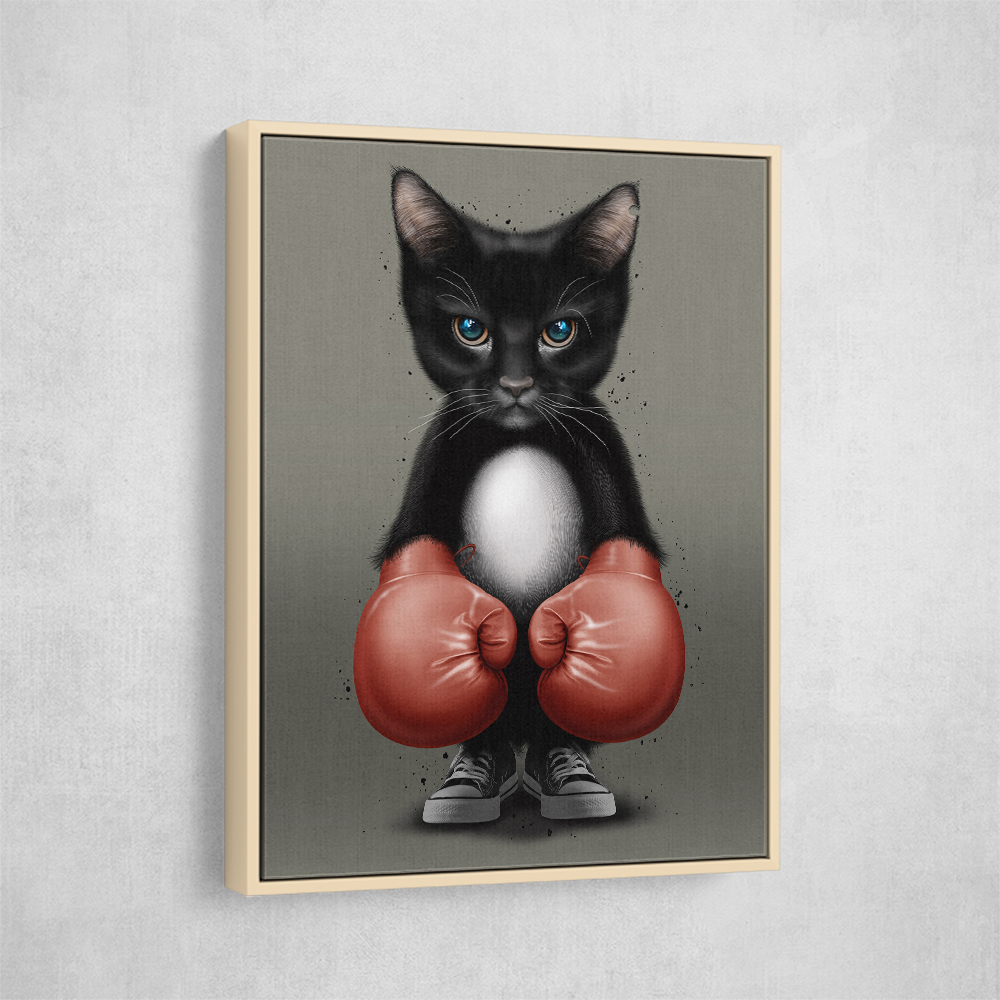 Kitty Boxer