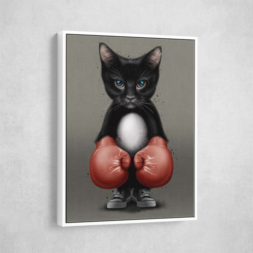 Kitty Boxer