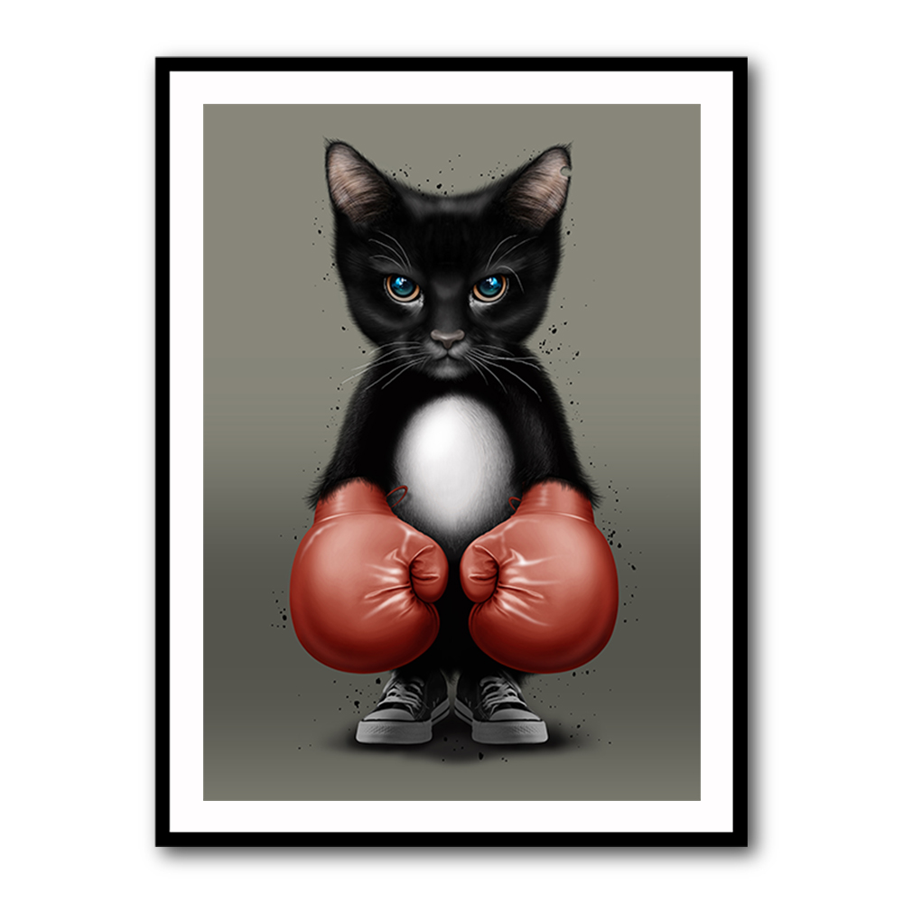 Kitty Boxer