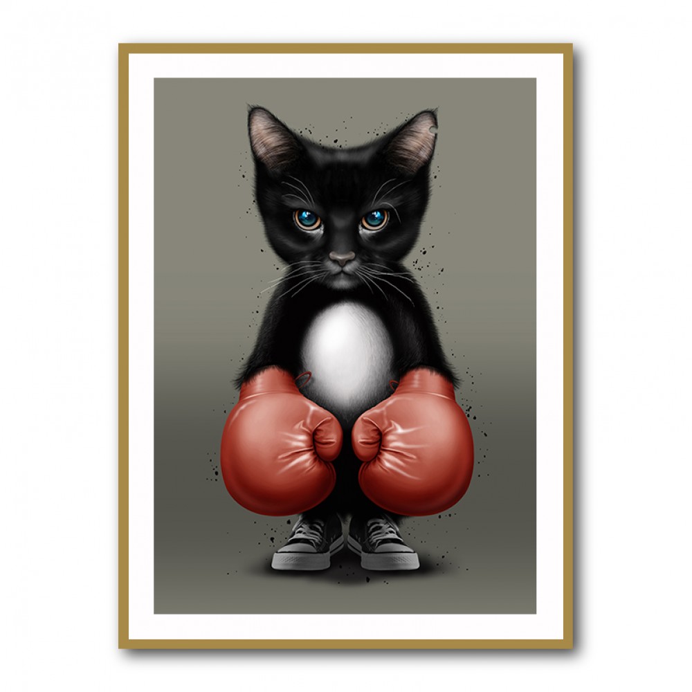 Kitty Boxer