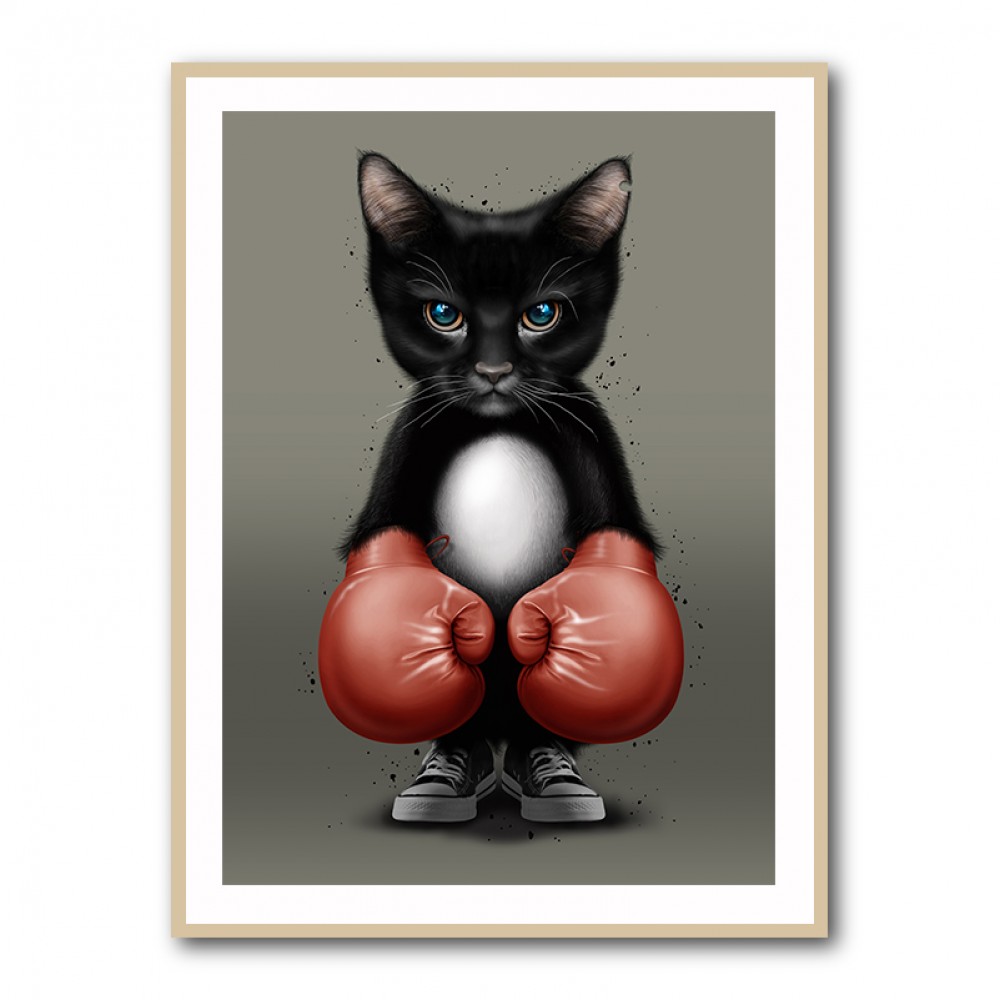 Kitty Boxer