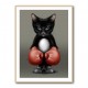 Kitty Boxer