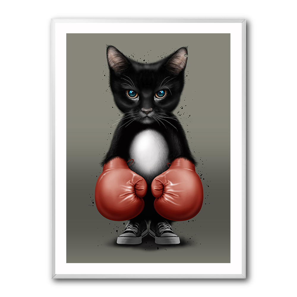 Kitty Boxer
