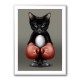 Kitty Boxer