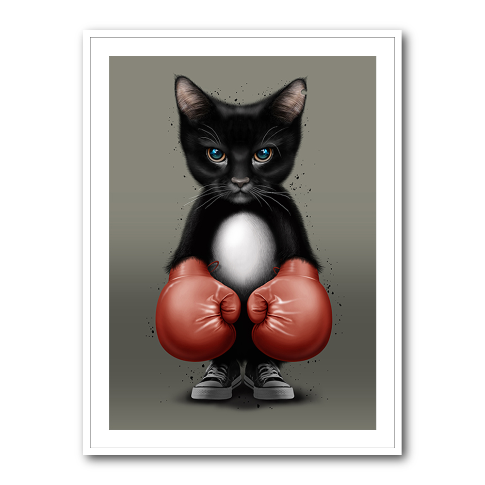 Kitty Boxer