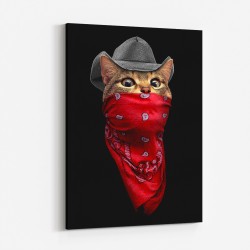 Pussy Outlaw