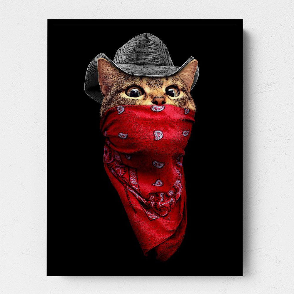 Pussy Outlaw