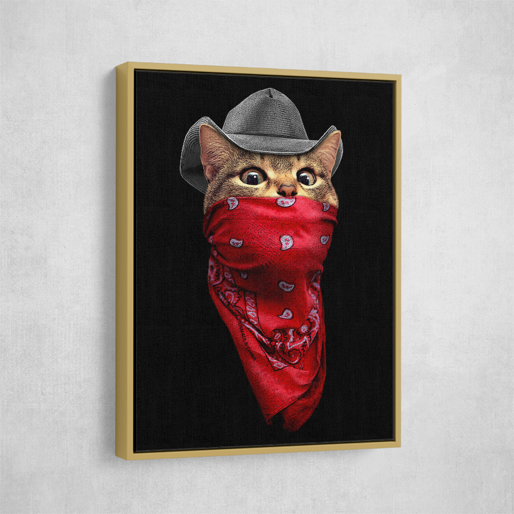 Pussy Outlaw