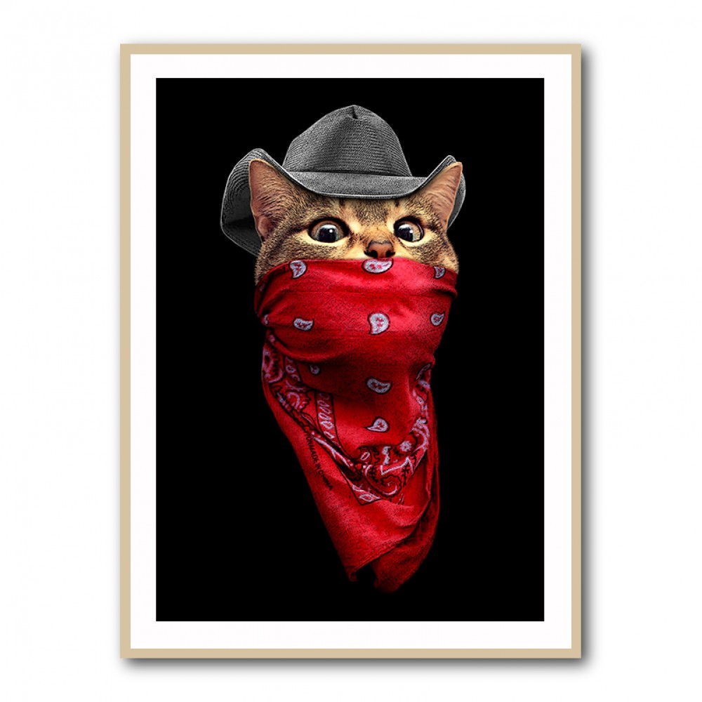 Pussy Outlaw