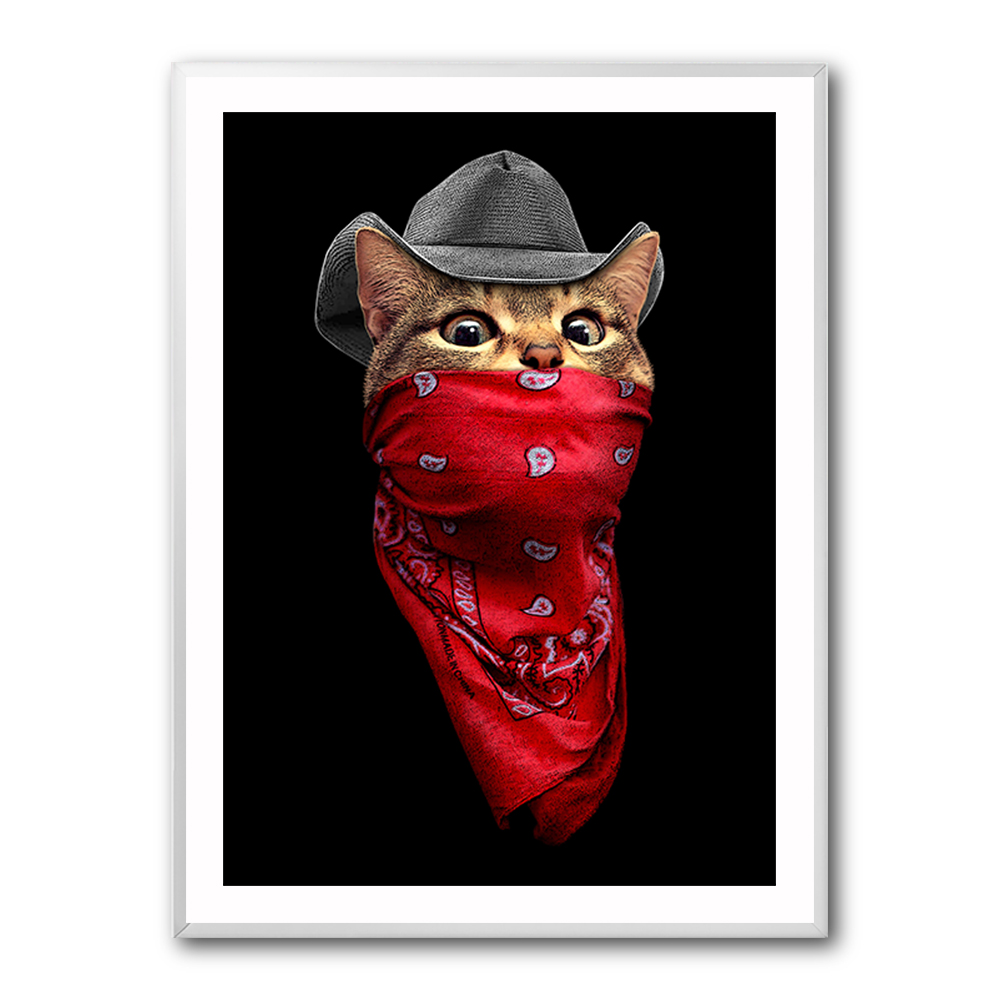 Pussy Outlaw