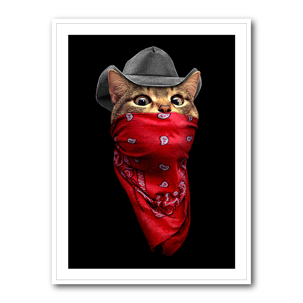 Pussy Outlaw