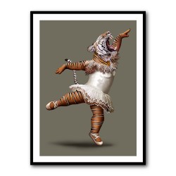 Tiger Ballet