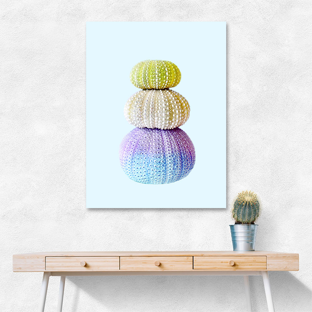 Sea Urchins Sea Urchins