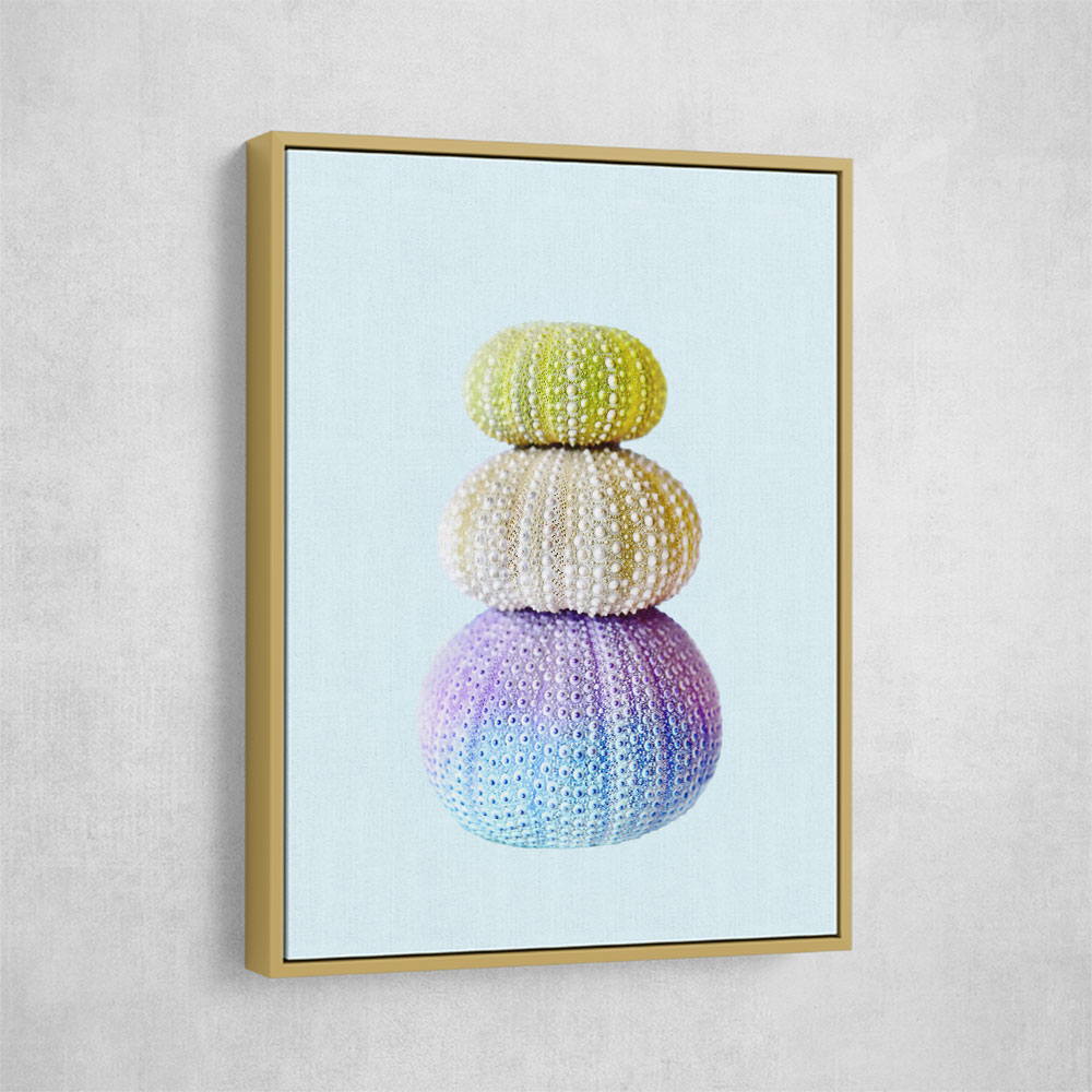 Sea Urchins Sea Urchins