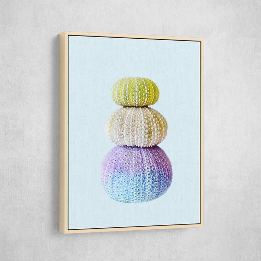 Sea Urchins Sea Urchins