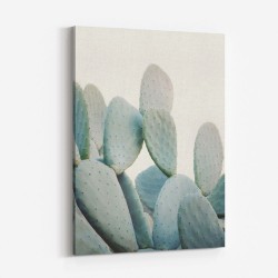 Pastel Cacti