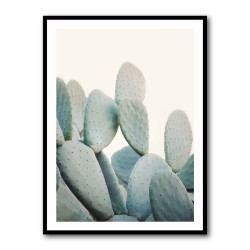 Pastel Cacti