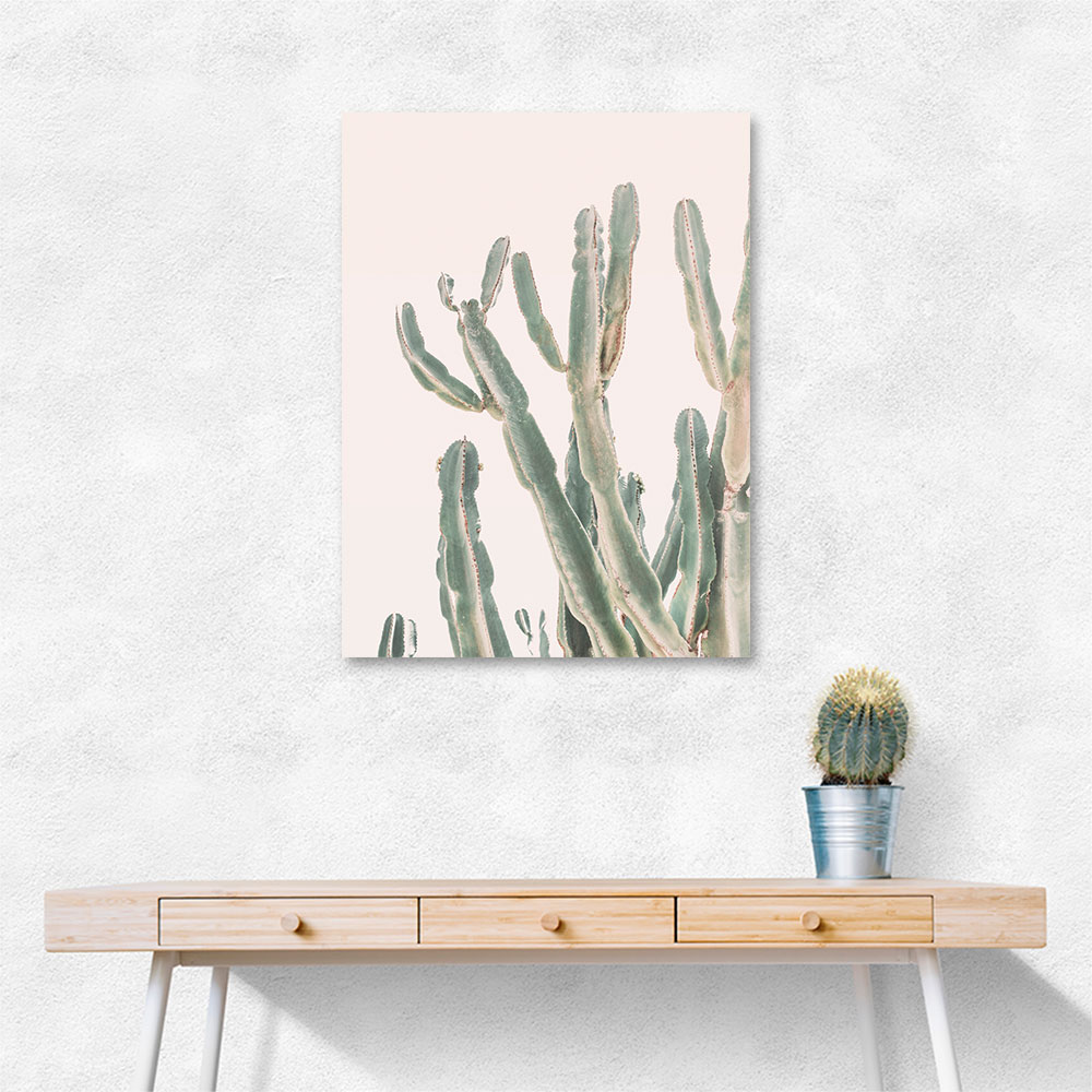 Sunrise Cactus