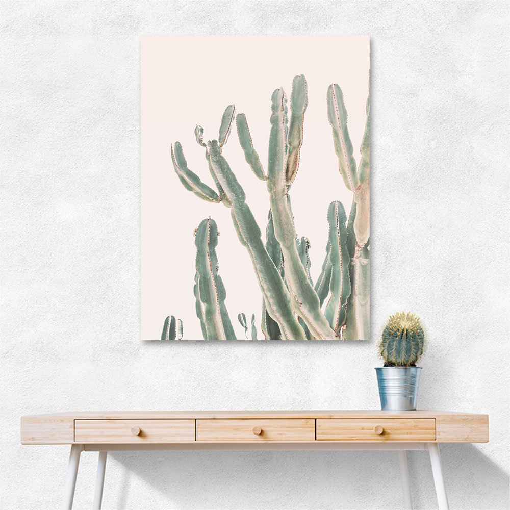 Sunrise Cactus