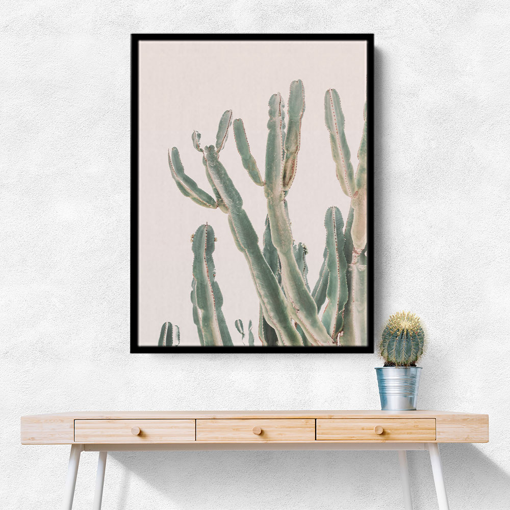 Sunrise Cactus