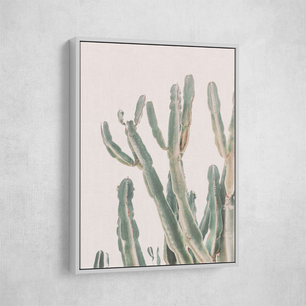 Sunrise Cactus