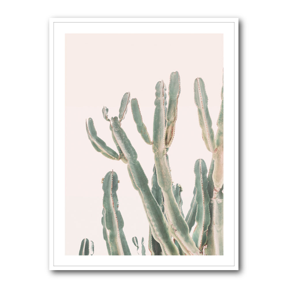 Sunrise Cactus