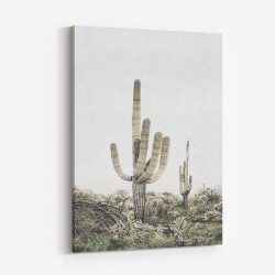 Pink Saguaro