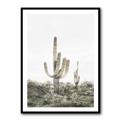 Pink Saguaro