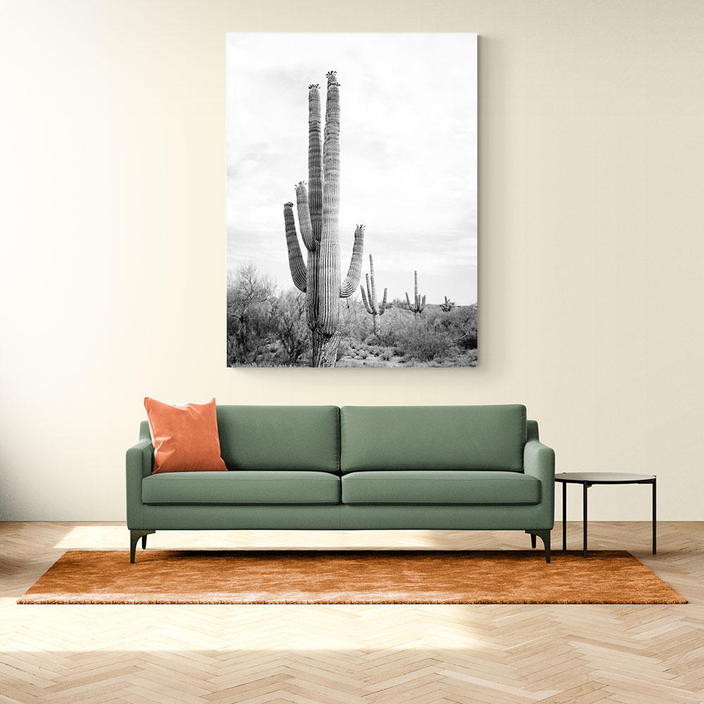 Saguaro BaW Saguaro BaW