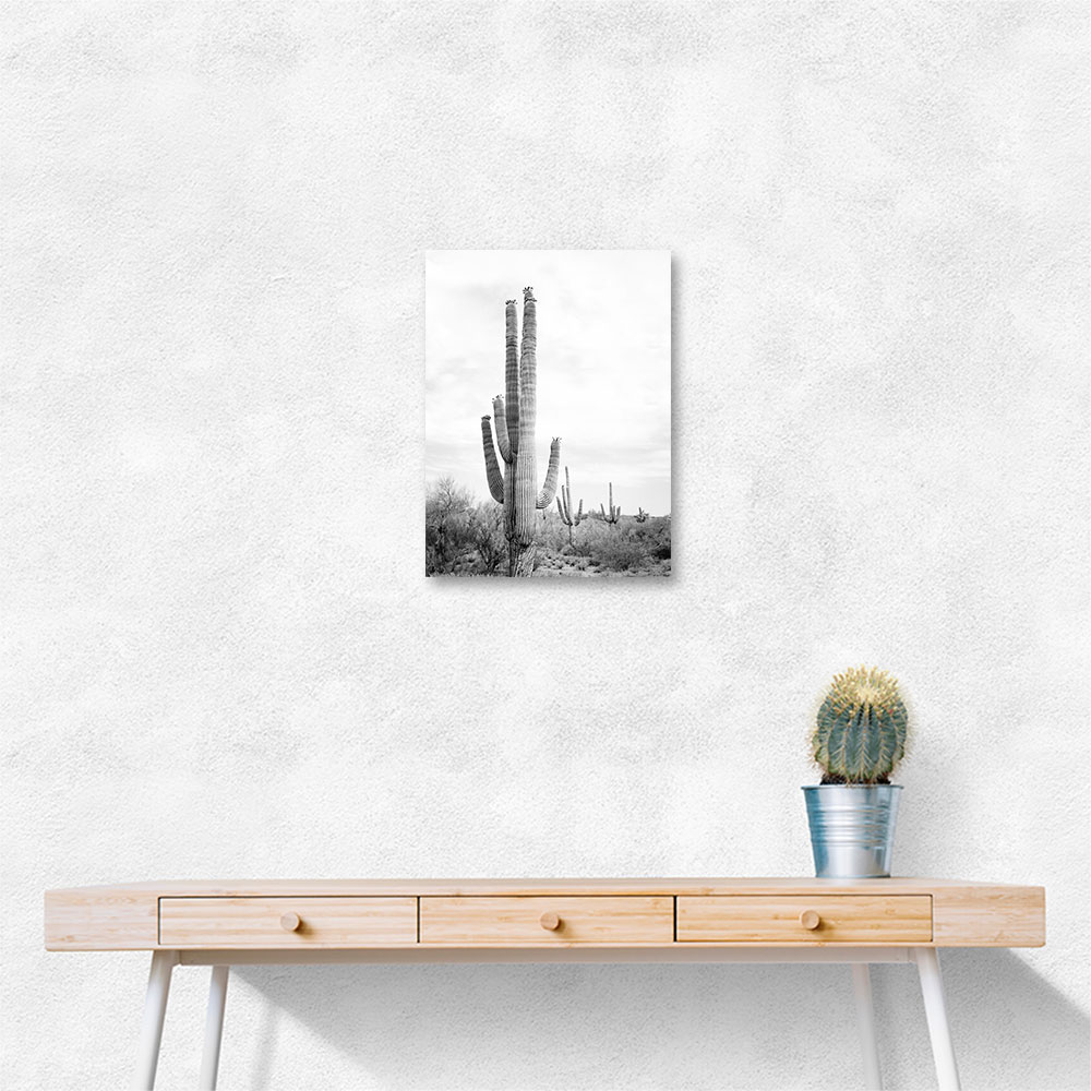 Saguaro BaW