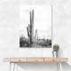 Saguaro BaW Saguaro BaW