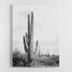 Saguaro BaW Saguaro BaW