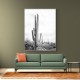Saguaro BaW Saguaro BaW
