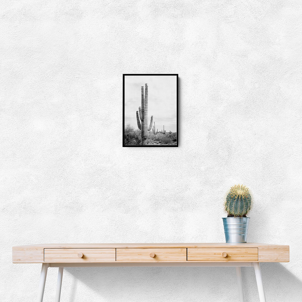Saguaro BaW Saguaro BaW