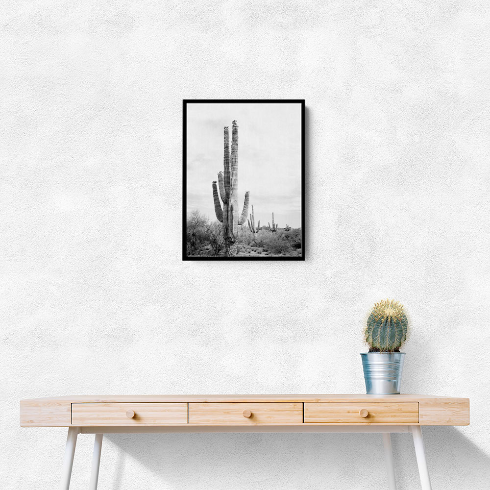 Saguaro BaW Saguaro BaW