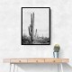 Saguaro BaW Saguaro BaW