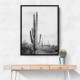 Saguaro BaW Saguaro BaW